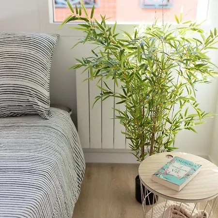 T2 Avec Parking Gratuit - Proximite Gare Apartment Toulouse